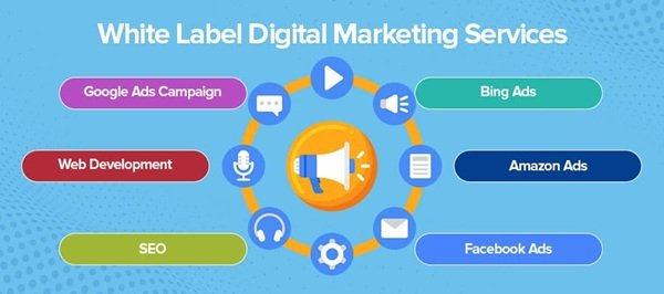 How White Label SEO Services Empower Digital Agencies